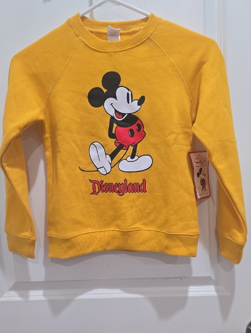 Disney Mickey Mouse Disneyland Sweatshirt